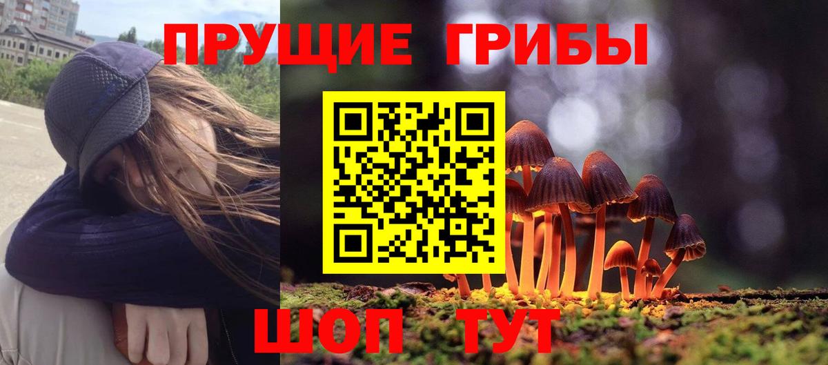 Галлюциногенные грибы ЛСД  Вход с VPN  Солнечногорск  Псилоцибиновые грибы прущие грибы 